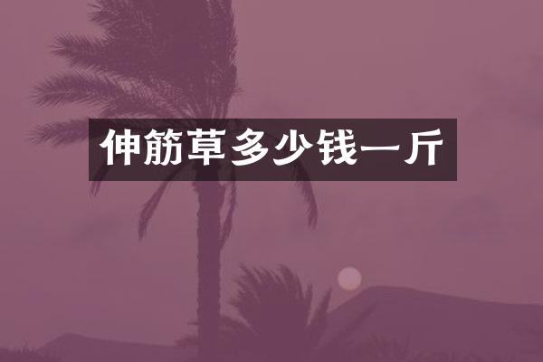伸筋草多少钱一斤