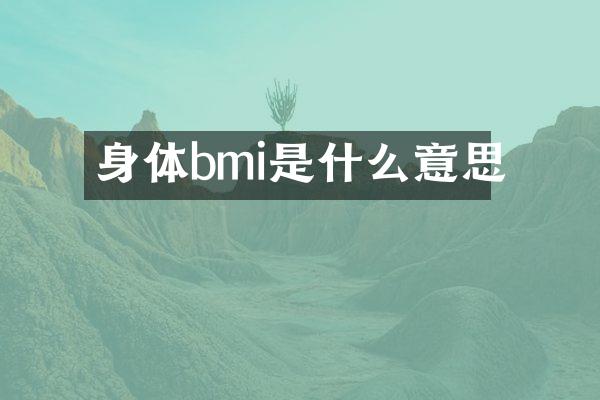 身体bmi是什么意思