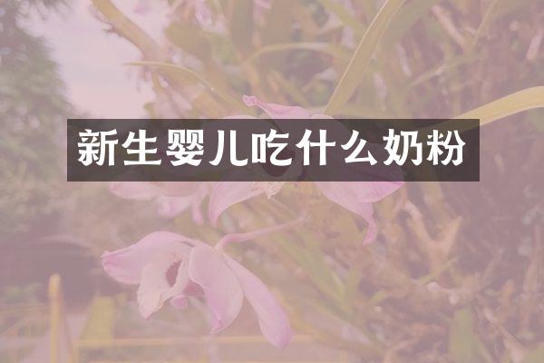 新生婴儿吃什么奶粉