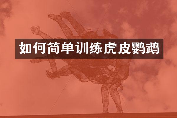 如何简单训练虎皮鹦鹉
