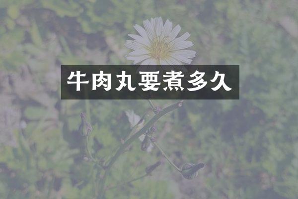 牛肉丸要煮多久