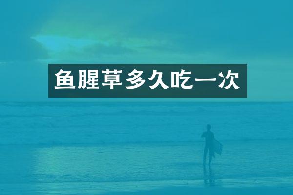 鱼腥草多久吃一次
