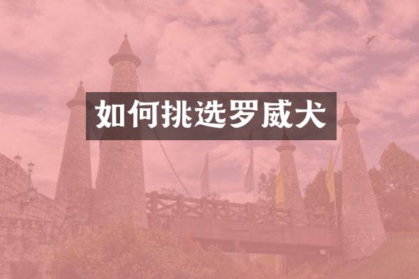 如何挑选罗威犬