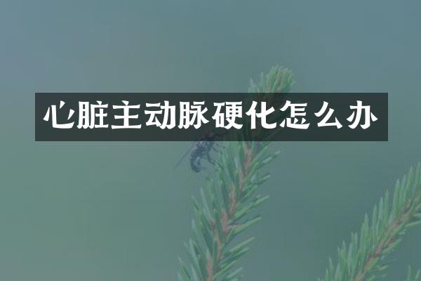 心脏主动脉硬化怎么办