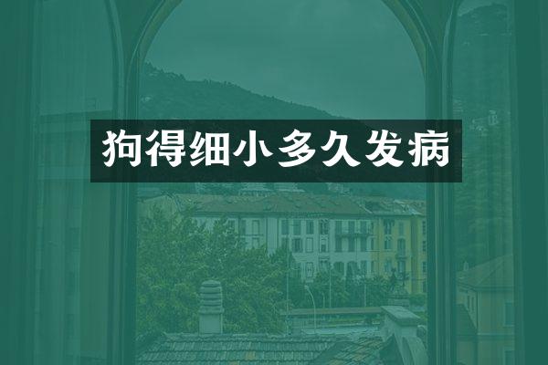 狗得细小多久发病