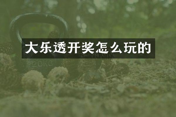 大开奖怎么玩的