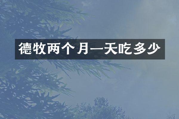 德牧两个月一天吃多少