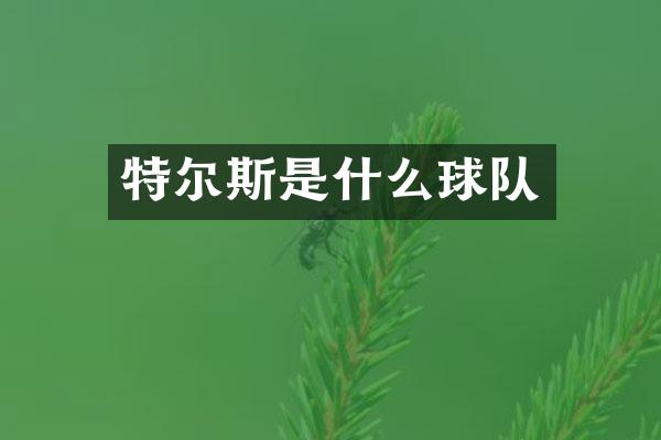 特尔斯是什么球队