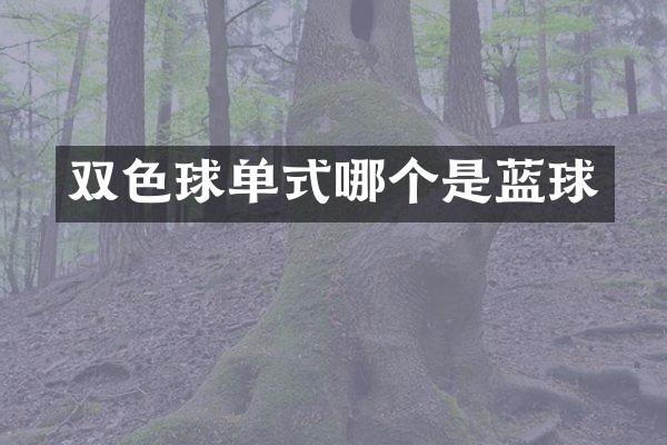 双色球单式哪个是蓝球