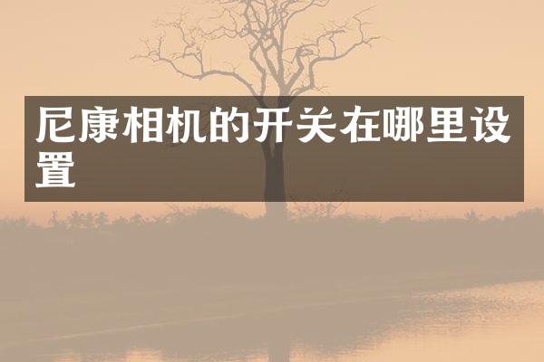 尼康相机的开关在哪里设置