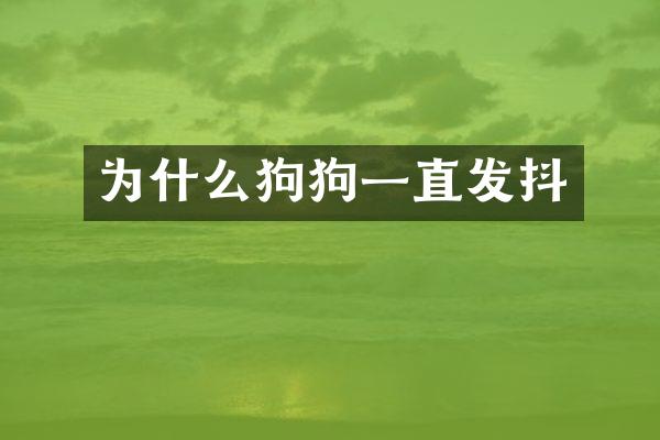 为什么狗狗一直发抖