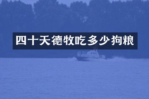 四十天德牧吃多少