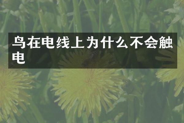 鸟在电线上为什么不会触电