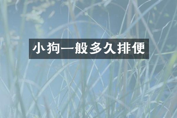 小狗一般多久排便
