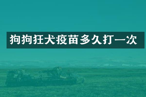 狗狗狂犬疫苗多久打一次