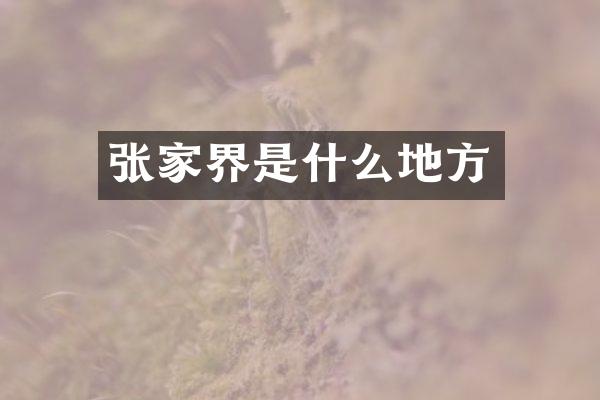 张家界是什么地方