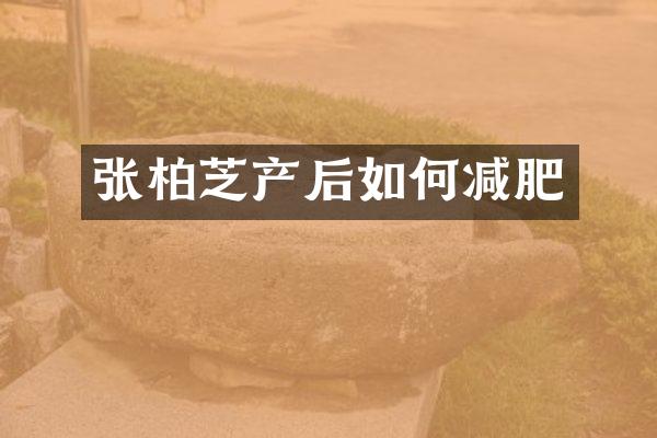 张柏芝产后如何减肥
