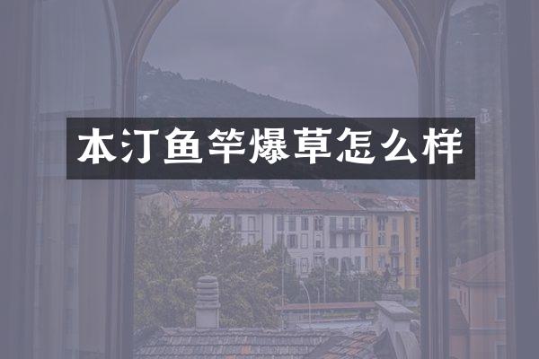本汀鱼竿爆草怎么样