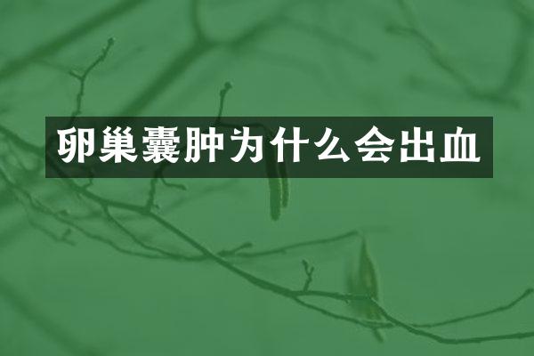 卵巢囊肿为什么会出血