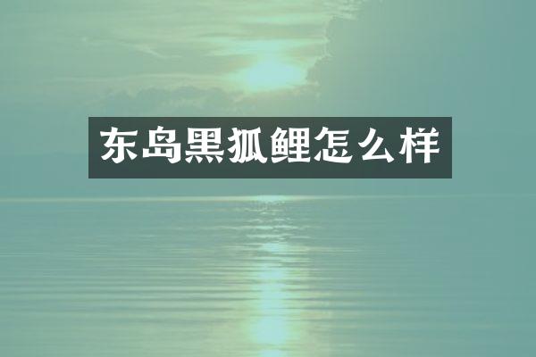 东岛黑狐鲤怎么样
