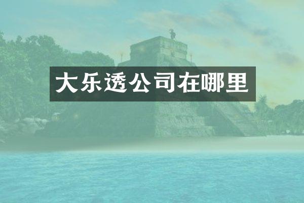 大公司在哪里