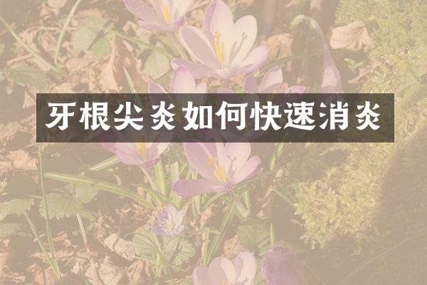 牙根尖炎如何快速消炎