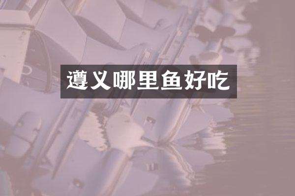 遵义哪里鱼好吃