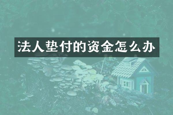 法人垫付的资金怎么办