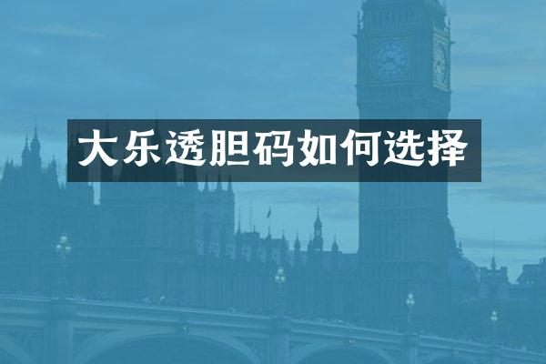 大胆码如何选择