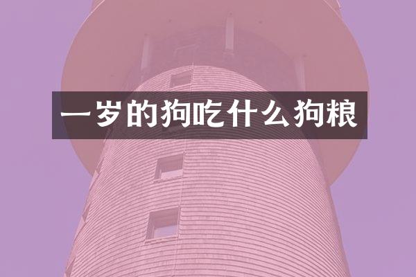 一岁的狗吃什么