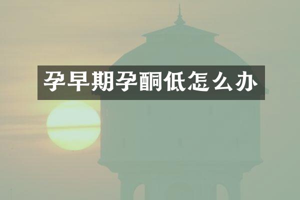 孕早期孕酮低怎么办