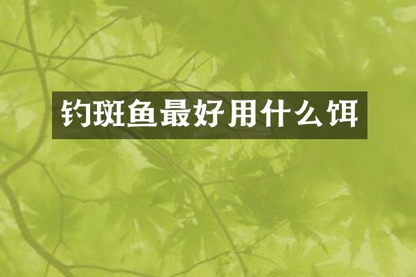 钓斑鱼最好用什么饵