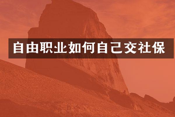 自由职业如何自己交社保