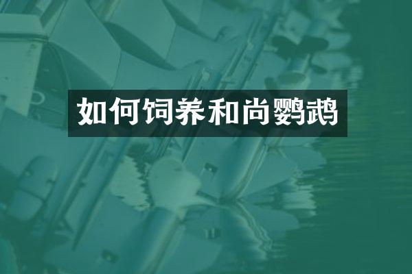 如何饲养和尚鹦鹉