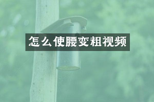 怎么使腰变粗视频