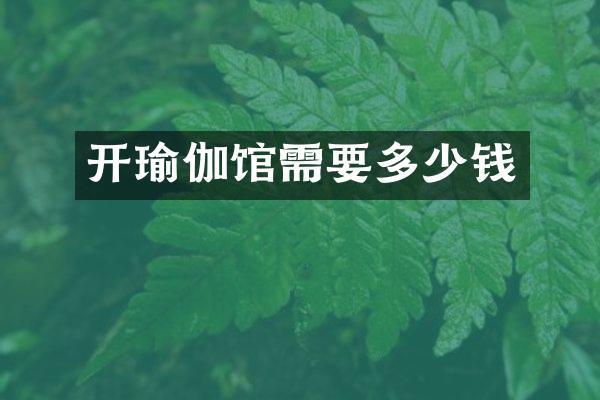 开瑜伽馆需要多少钱