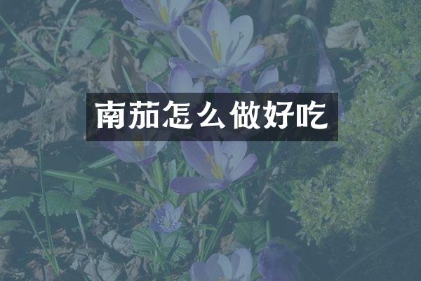 南茄怎么做好吃