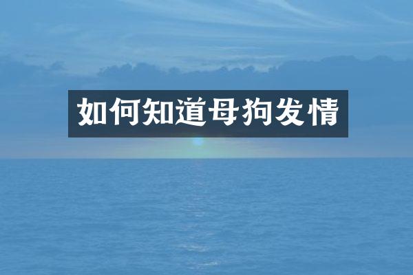 如何知道母狗发情