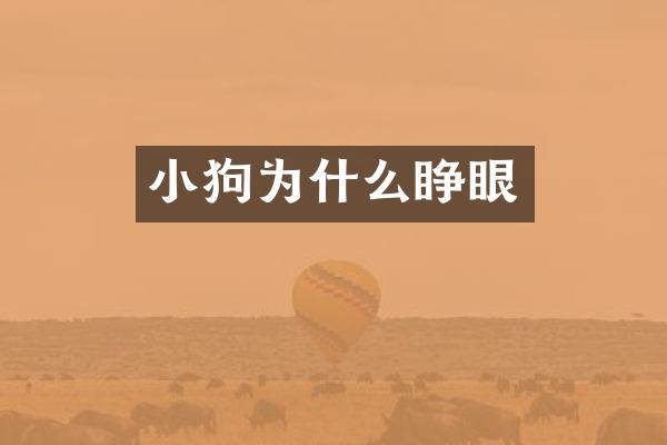 小狗为什么睁眼
