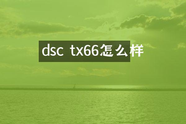 dsc tx66怎么样