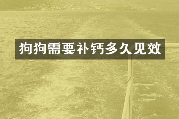 狗狗需要补钙多久见效