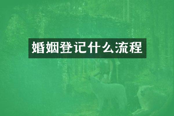 婚姻登记什么流程