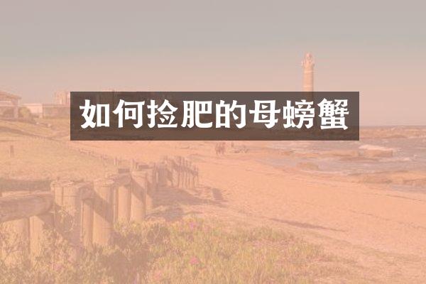 如何捡肥的母螃蟹