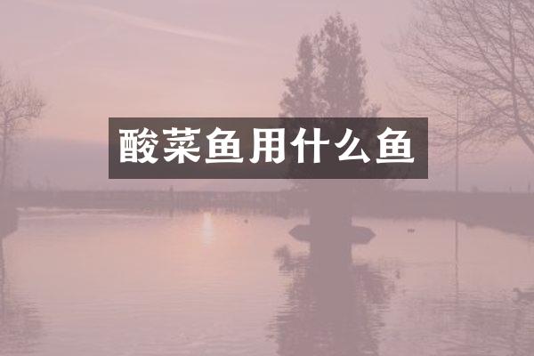 酸菜鱼用什么鱼