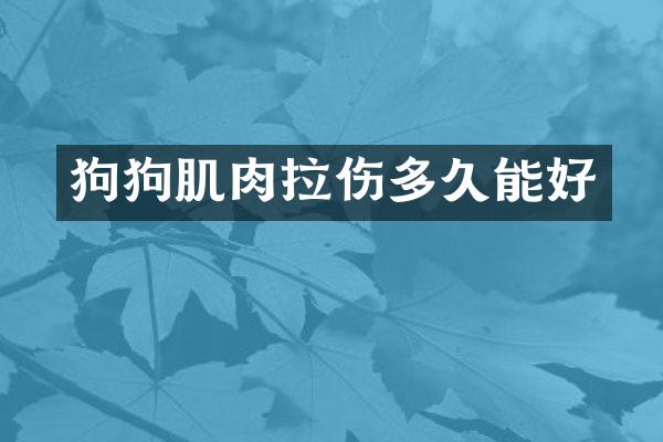 狗狗肌肉拉伤多久能好