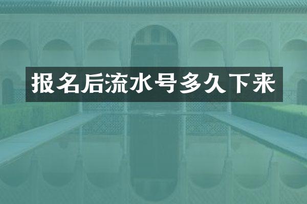 报名后流水号多久下来