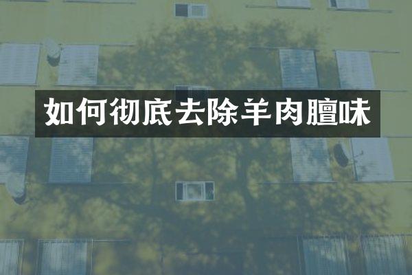 如何彻底去除羊肉膻味