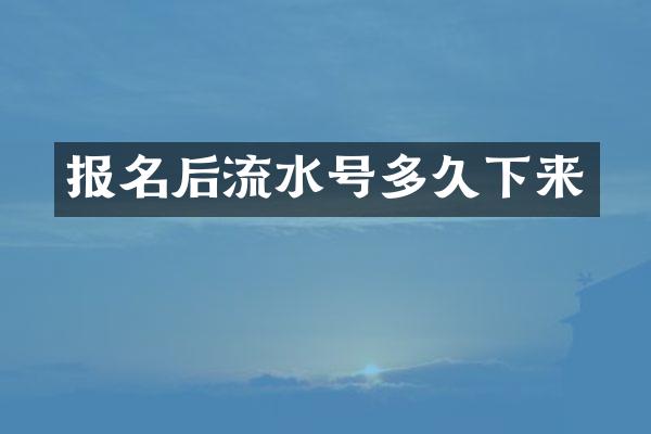 报名后流水号多久下来