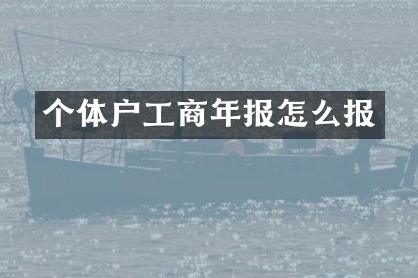 个体户工商年报怎么报