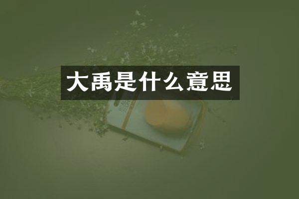 大禹是什么意思